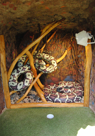 Ormar inuti grotta på äventyrsgolfen