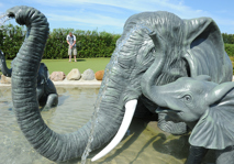 Elefant fontän på Jambo